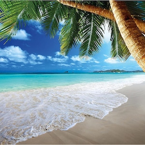 Carta da parati fotografica "Spiaggia e palme" – 336 x 236 cm, murale da sogno caraibico, spiaggia tropicale | 8 parti | Carta da poster | Made in Germany + poster gratuito