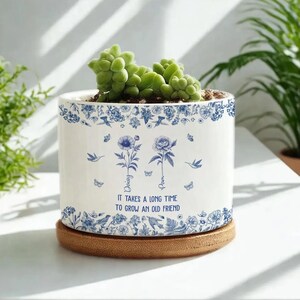 May include: White ceramic planter with blue floral and butterfly designs, holding a green succulent plant. The planter has the text "It takes a long time to grow an old friend". It sits on a round, brown bamboo coaster.