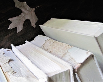 One Repurposed French Farmhouse Book,  Antique White Shabby Decor, Home Staging, Photography Prop