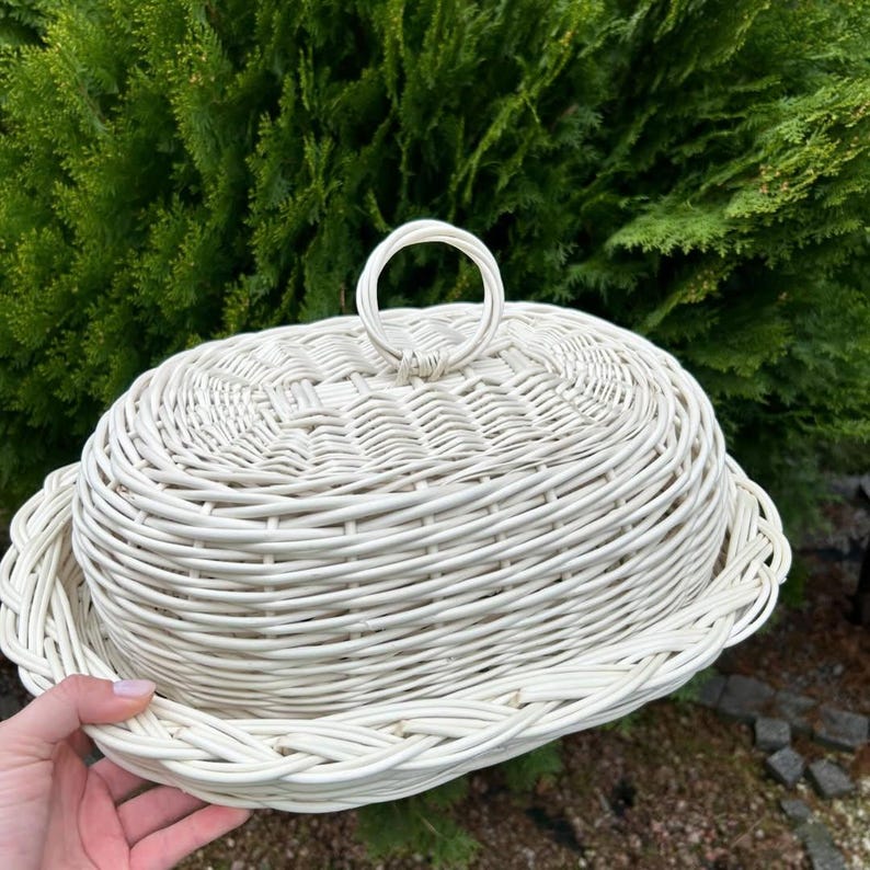 Puede incluir: Una fuente de mimbre blanca con tapa abovedada y asa circular. El plato tiene una base redonda y un dise&ntilde;o tejido. El fondo es un arbusto verde.