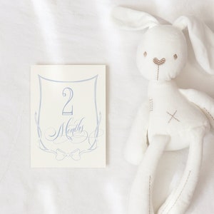 Cartes étape importante pour garçon - cadeau pour bébé - nouvelle maman - idées cadeaux - baby shower - cartes pour mois de bébé - souvenirs souvenirs - saupoudrer classique pour bébé garçon