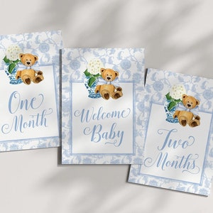 Boy Milestone Cards Printable Teddy Bear Ginger Jar Toile Blue Chinoiserie Baby Month Cards Keepsake Memories Classic Baby Boy image 1