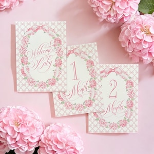Pink Hydrangea Baby Girl Milestone Cards: New Mom Gift