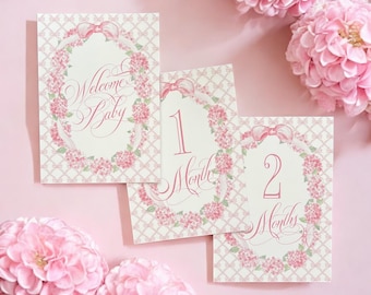 Pink Hydrangea Baby Girl Milestone Cards: New Mom Gift