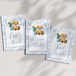 Boy Milestone Cards Printable Teddy Bear Ginger Jar Toile Blue Chinoiserie Baby Month Cards Keepsake Memories Classic Baby Boy image 7