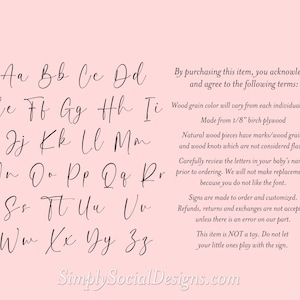 Mallard Duck Baby Boy Name and Birth Stats Announcement Sign for Hospital image 3