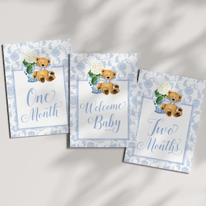 Boy Milestone Cards Printable Teddy Bear Ginger Jar Toile Blue Chinoiserie Baby Month Cards Keepsake Memories Classic Baby Boy image 4