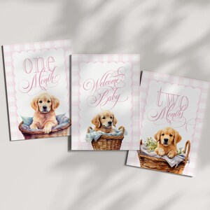 Cartes étape fille imprimables avec Golden Retrievers - cadeau de baby shower - cartes de mois de bébé - souvenirs - Vichy classique pour bébé fille