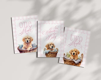 Girl Milestone Cards Printable with Golden Retrievers - Baby Shower Gift - Baby Month Cards - Keepsake Memories - Classic Baby Girl Gingham