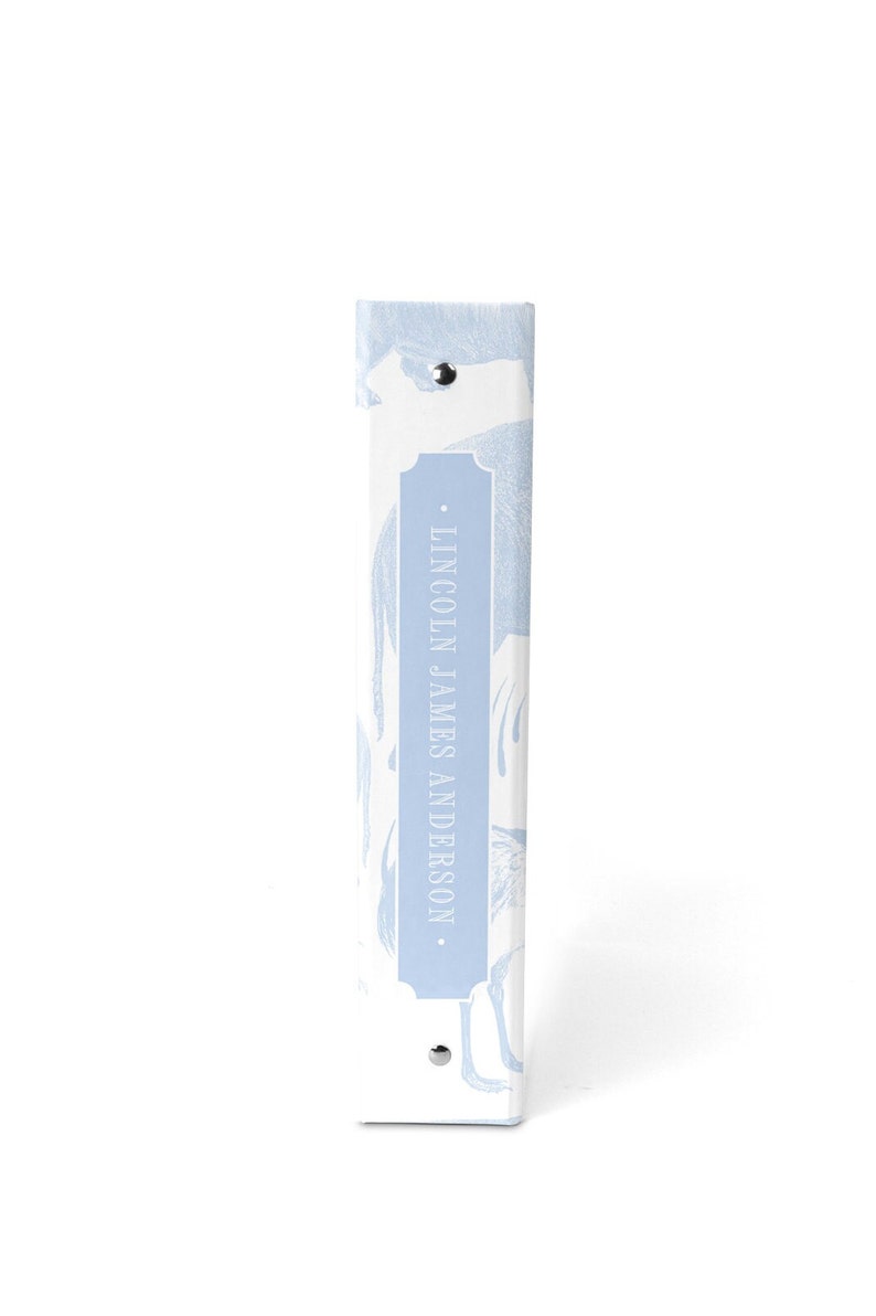 May include: A light blue binder with a white background and a pattern of stylized birds. The binder has a silver metal ring and a label that reads "LINCOLN JAMES ANDERSON."