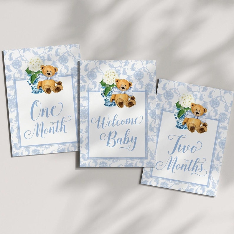 Boy Milestone Cards Printable Teddy Bear Ginger Jar Toile Blue Chinoiserie Baby Month Cards Keepsake Memories Classic Baby Boy image 1