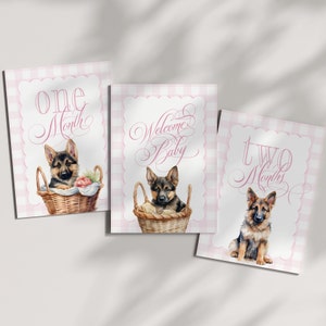 Cartes étape fille imprimables avec des bergers allemands - cadeau de baby shower - cartes de mois de bébé - souvenirs - Vichy classique pour bébé fille