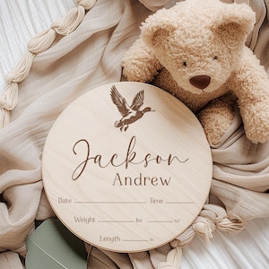 Mallard Duck Baby Boy Name and Birth Stats Announcement Sign for Hospital image 10