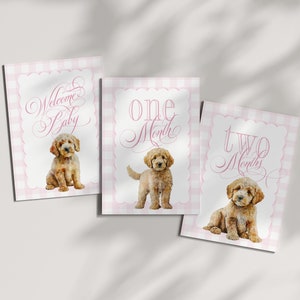 Cartes étape fille imprimables avec griffonnages dorés - cadeau baby shower - cartes bébé mois - souvenirs - Vichy classique bébé fille
