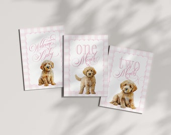 Girl Milestone Cards Printable with Golden Doodles - Baby Shower Gift - Baby Month Cards - Keepsake Memories - Classic Baby Girl Gingham