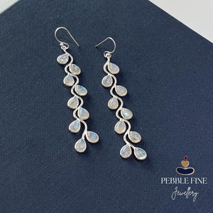 Peut inclure: Une paire de boucles d'oreilles pendantes en argent avec une structure en forme de vigne ornée de multiples pierres de lune en forme de goutte. Chaque boucle possède une attache à crochet et présente une série de pierres irisées serties dans du métal argenté poli.