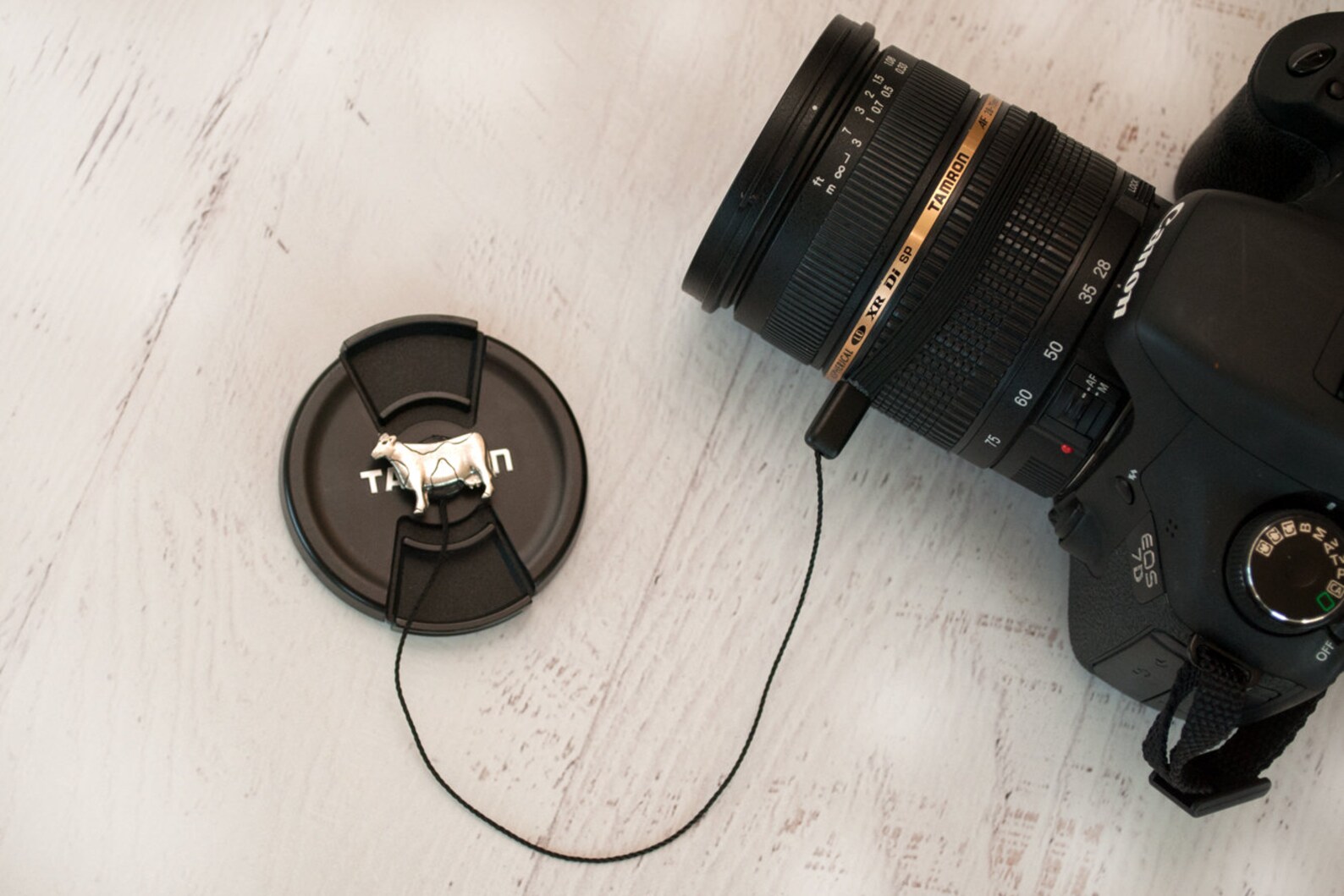 Lens Cap Leash Camera Lens Cap Strap Camera Accessories Etsy