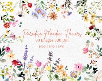 May include: Watercolor floral design featuring a variety of flowers in shades of pink, yellow, orange, purple, and white. The text "Paradise Meadow Flowers" is displayed, along with "30 Images 300 DPI" and file type information.