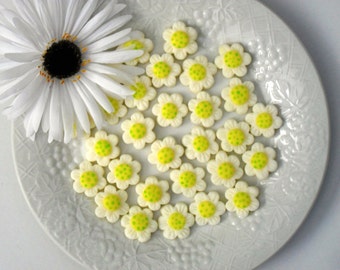 DAISY MINTS - 6 docenas de mentas con queso crema