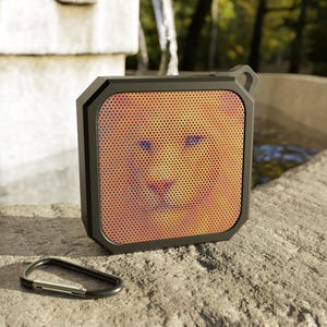 Lion Face Bluetooth Speaker | Outdoor Portable Speaker