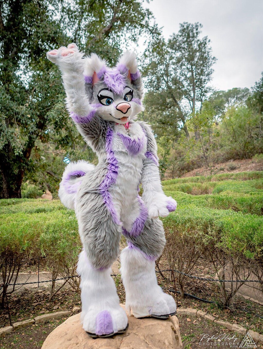 Adult Purple Husky Fursuit Long Fur Wolf Fox Costume Adult Size