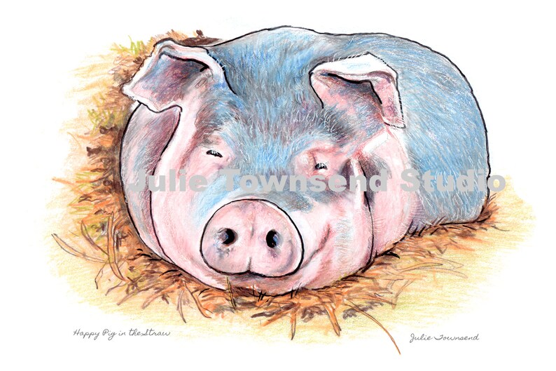 Pig PrintPig Art Color Pencil Illustration Color Pencil | Etsy