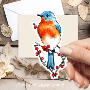 Bluebird Sitting on Rose Bush Branches Bright Red Rose Hip Berries Woodland Bird Sticker Planners Journals and Scrapbooks bird lover zdjęcie 1