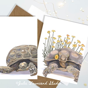 May include: Two greeting cards featuring detailed illustrations of a tortoise. One card shows a tortoise with a textured shell, while the other depicts a tortoise with a yellow flower behind its ear, surrounded by tall yellow wildflowers.