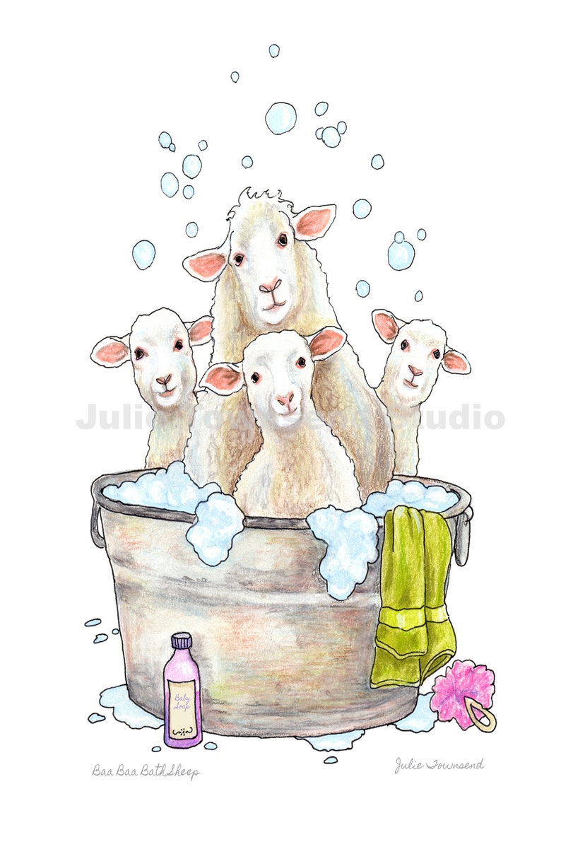 Sheep in the Tub Art Print Lambs Funny Farm Art Farmhouse Etsy