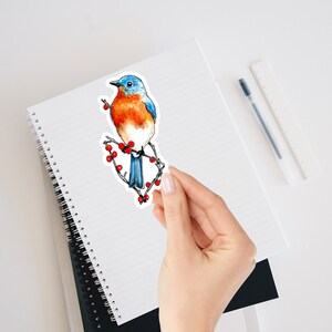 Bluebird Sitting on Rose Bush Branches Bright Red Rose Hip Berries Woodland Bird Sticker Planners Journals and Scrapbooks bird lover zdjęcie 5