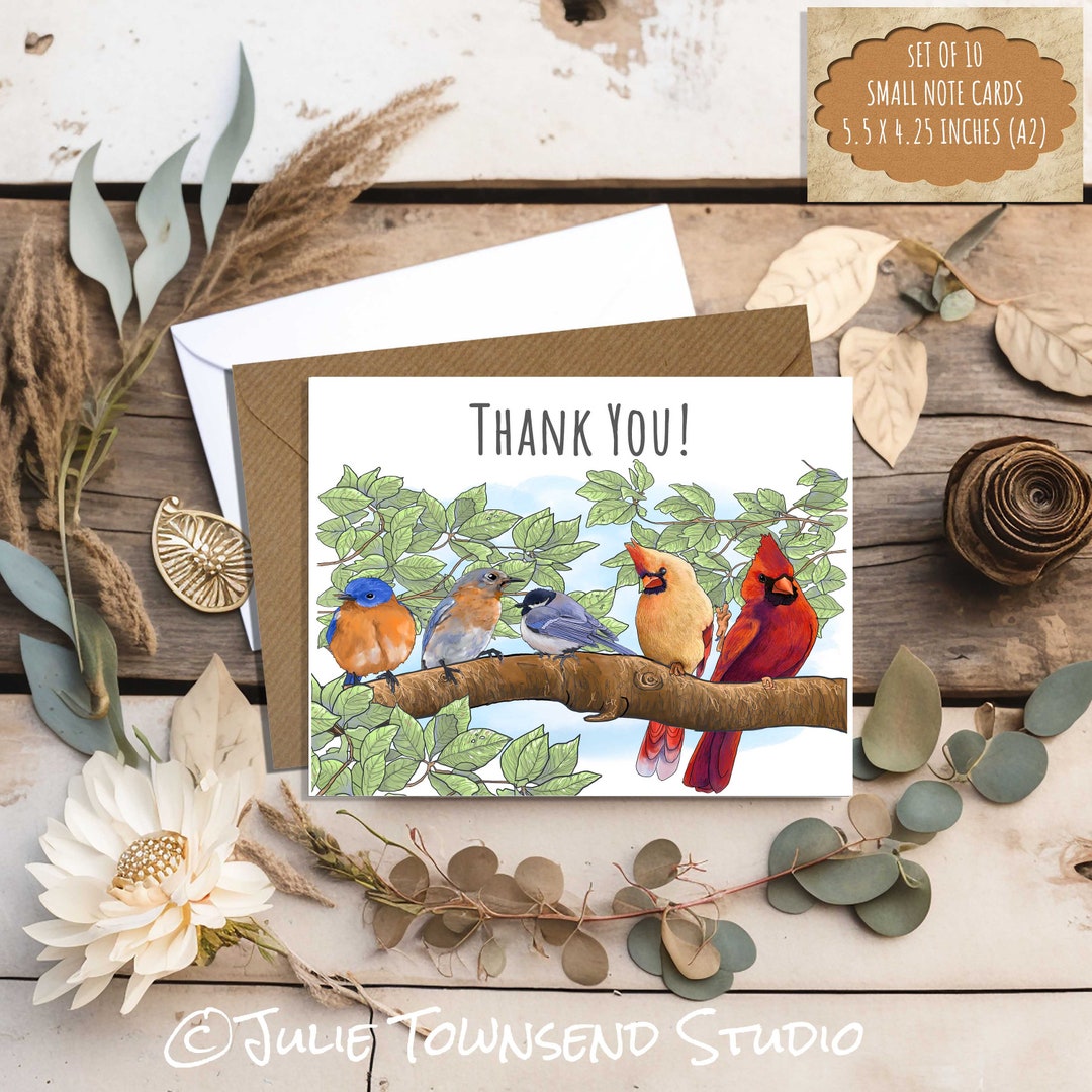 Cute Bird Thank You Cards Set of 10 Small Feathered Friend Etsy