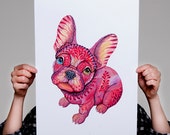 French bulldog, frenchie, animal art print, Raspberry Frenchie dog, size A3