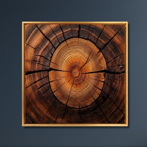 Tree Ring Canvas Wall Art – Abstract Natural Wood Texture Modern Decor