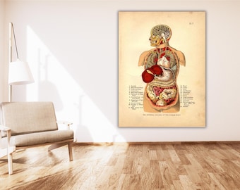 Internal Organs Of The Human Body Poster Print Art Canvas,Human Body Wall Art Print,Organs Poster Art,Study Rool Wall Art,Library Wall Decor