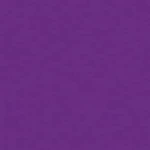 May include: Solid purple background. The image is a close-up of a textured, deep purple surface. The color is consistent throughout the frame, with subtle variations in tone suggesting a fabric or painted texture.