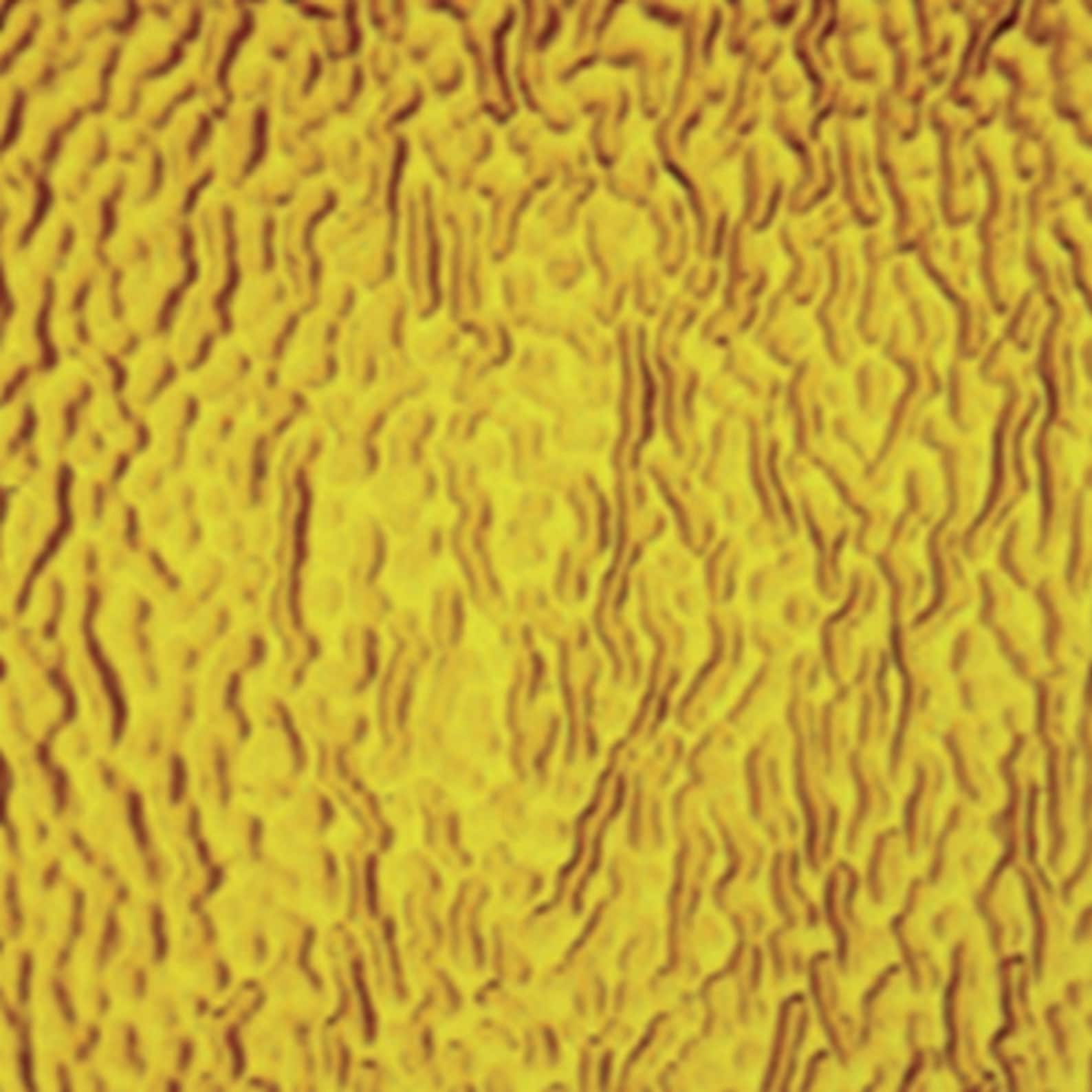 Medium Amber Ripple Wissmach Stained Glass Sheet - 8