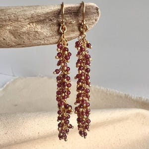 May include: A pair of long, dangling earrings with a gold wire design and small, dark red beads. The earrings are hanging from a piece of driftwood.