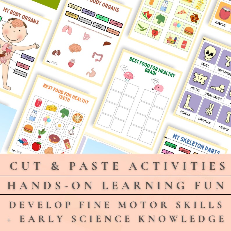 Human Anatomy Busy Book Worksheets Printable | Kids Body Parts, Skeleton, Organs and Dental ...