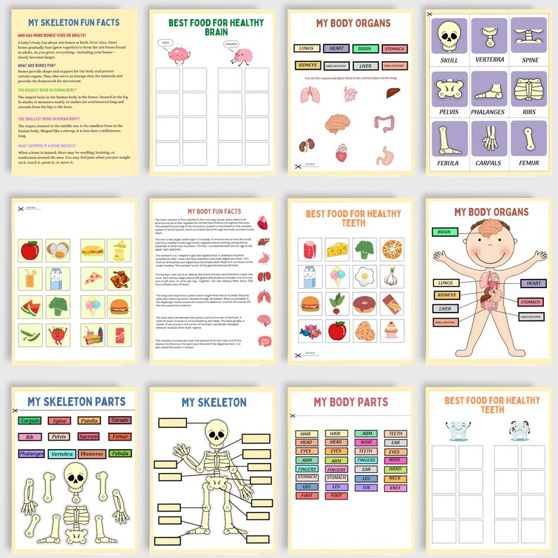 Human Anatomy Busy Book Worksheets Printable | Kids Body Parts ...