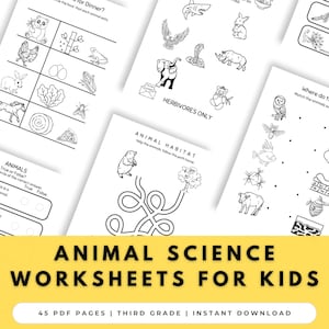 Third Grade Animal Science Worksheets | Vertebrates, Habitats, Food Chain, Invertebrates | No Prep Printable Activities PDF