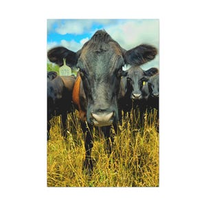 Koe print mat canvas kunst aan de muur, rustieke boerderij decor, dierenliefhebber cadeau, boerderij decor, landhuis kunst aan de muur, unieke koe fotografie