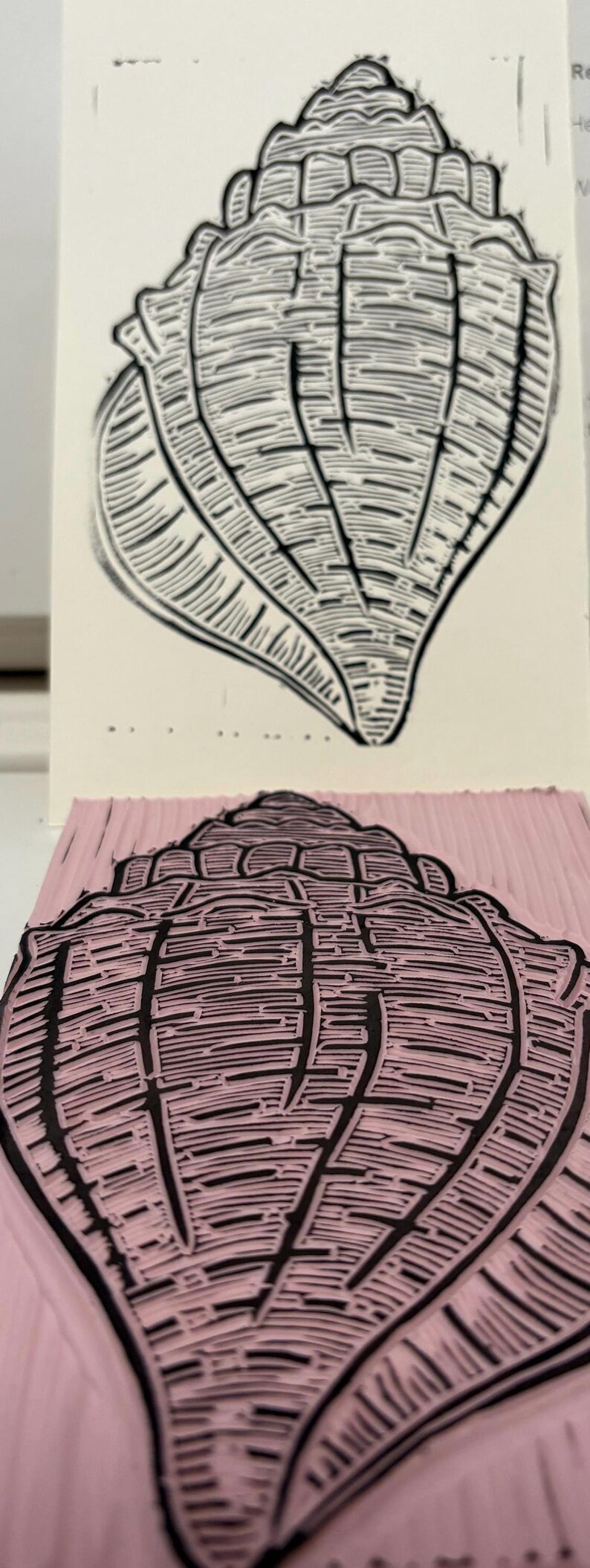Linocut Conch Shell Concha - Conch Shell - Etsy