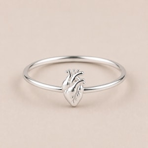 Puede incluir: Un anillo fino de plata pulida con un pequeño dije de corazón anatómico detallado en el centro de la banda. El metal tiene un acabado liso y reflectante que resalta los contornos realistas y los vasos del corazón en el anillo.