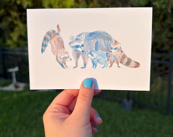 Jimothy the raccoon postcard
