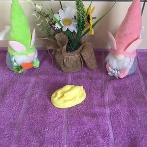Goat Milk Soap: Dolphin Scented for Sensitive Skin