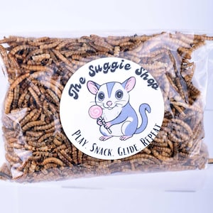 Dried Mealworms: Sugar Glider Treats & Small Pet Treats - 3 oz