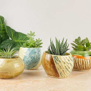 May include: Four ceramic planters with succulents. The planters are in various colors and designs, including yellow, blue, brown, and green. The plants are a variety of succulents, with green leaves. The planters are on a light brown surface.