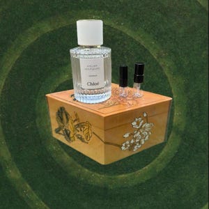 Celine Black Tie Perfume - Etsy