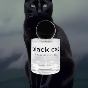 Diffrative Studio - Black Cat Sample