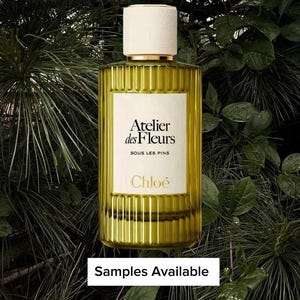 Celine Parade Perfume - Etsy